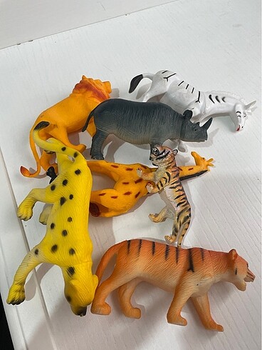 Hayvanlar alemi - Görsel 8