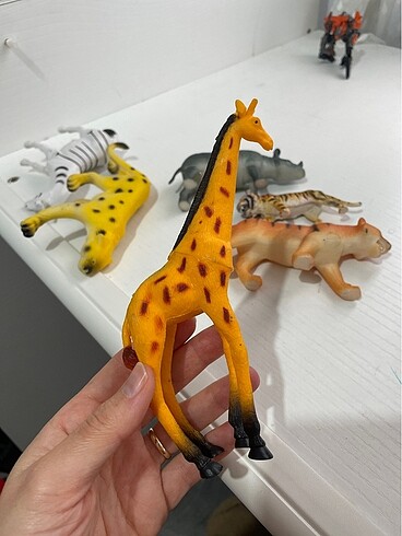 Hayvanlar alemi - Görsel 9