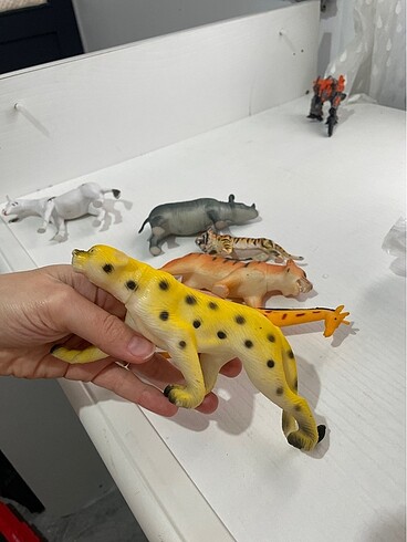 Hayvanlar alemi - Görsel 10