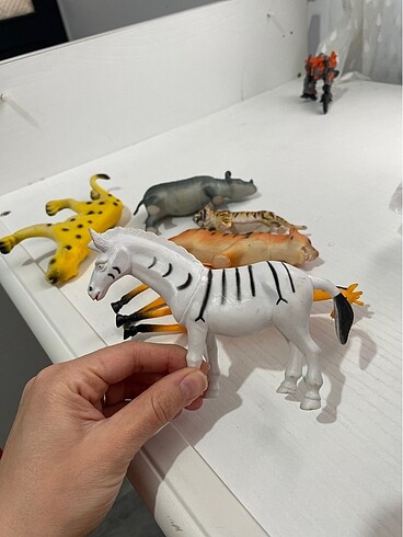 Hayvanlar alemi - Görsel 11