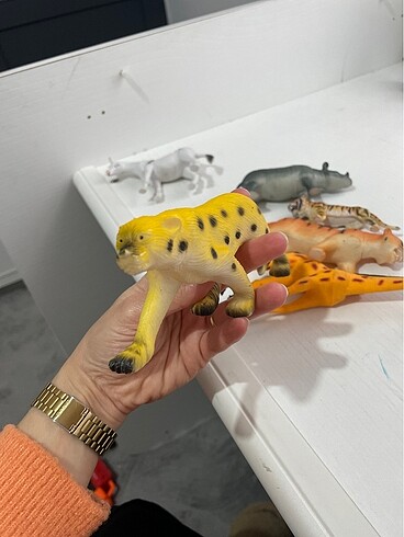 Hayvanlar alemi - Görsel 12