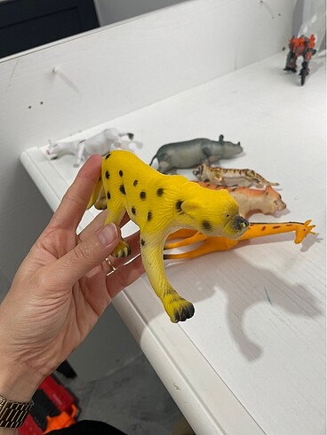 Hayvanlar alemi - Görsel 13