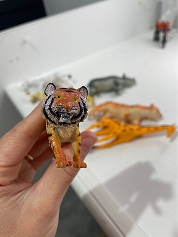 Hayvanlar alemi - Görsel 14