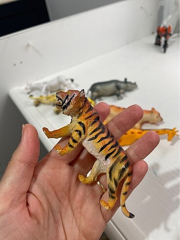 Hayvanlar alemi - Görsel 15