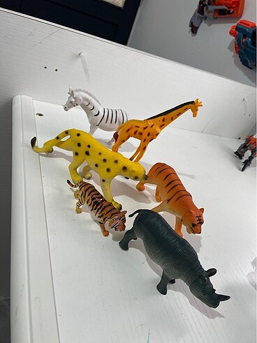 Hayvanlar alemi - Görsel 17