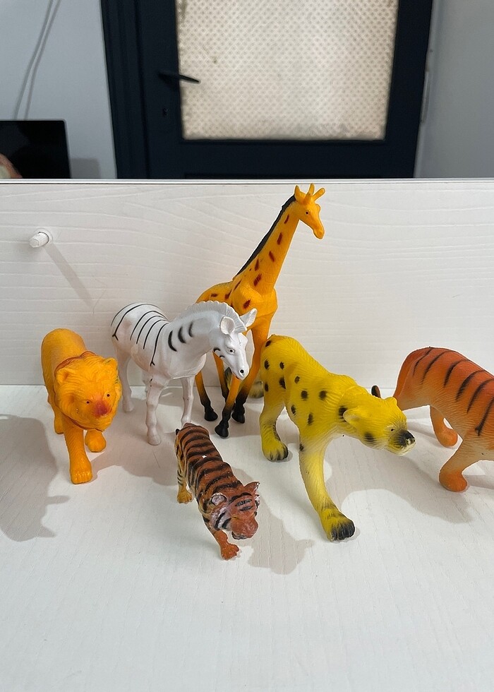 Hayvanlar alemi - Görsel 3