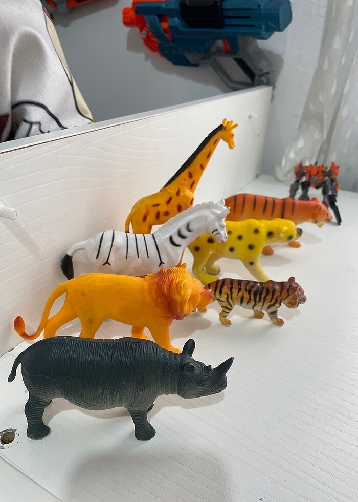 Hayvanlar alemi - Görsel 2