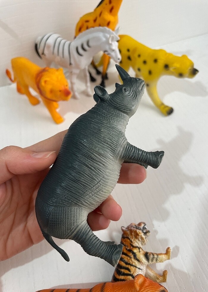 Hayvanlar alemi - Görsel 5