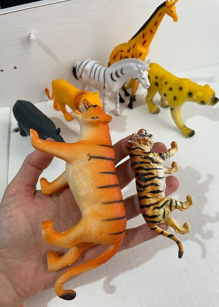 Hayvanlar alemi - Görsel 4