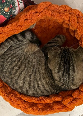 Turuncu Örgü kedi Sepeti  - Görsel 5