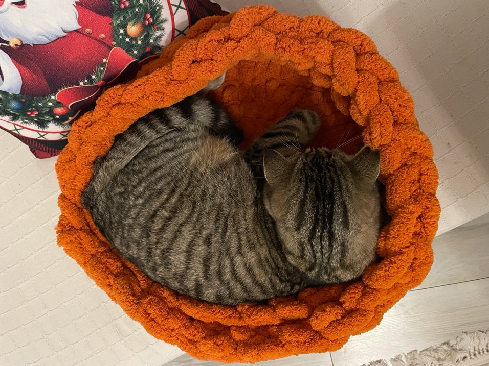 Turuncu Örgü kedi Sepeti  - Görsel 5