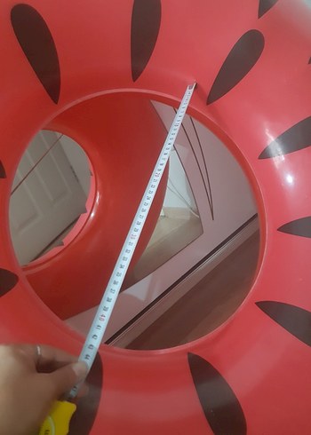 kurbağa deniz simidi - Görsel 4