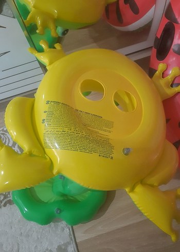 kurbağa deniz simidi - Görsel 6