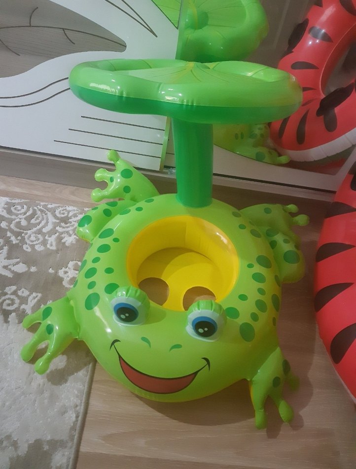 kurbağa deniz simidi - Görsel 2