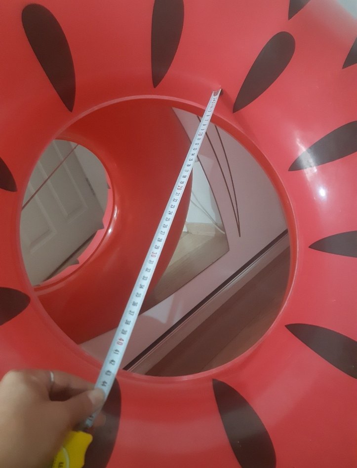 kurbağa deniz simidi - Görsel 4