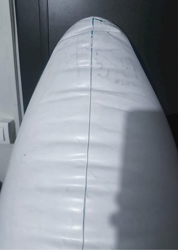 Şişme balina - Görsel 6