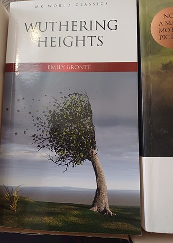 Klasik İngiliz Edebiyatı Kitap Seti - Görsel 3