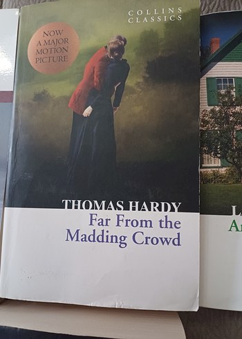 Klasik İngiliz Edebiyatı Kitap Seti - Görsel 4