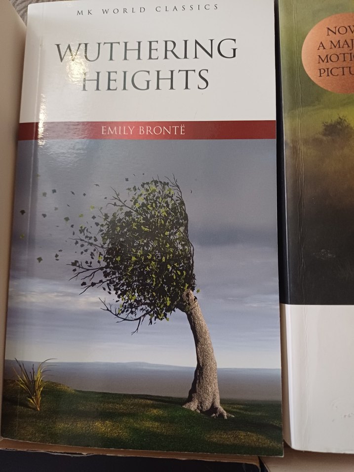 Klasik İngiliz Edebiyatı Kitap Seti - Görsel 3