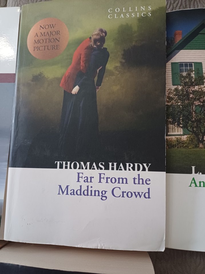 Klasik İngiliz Edebiyatı Kitap Seti - Görsel 4