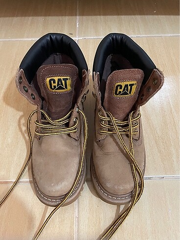 37 Beden Cat bot