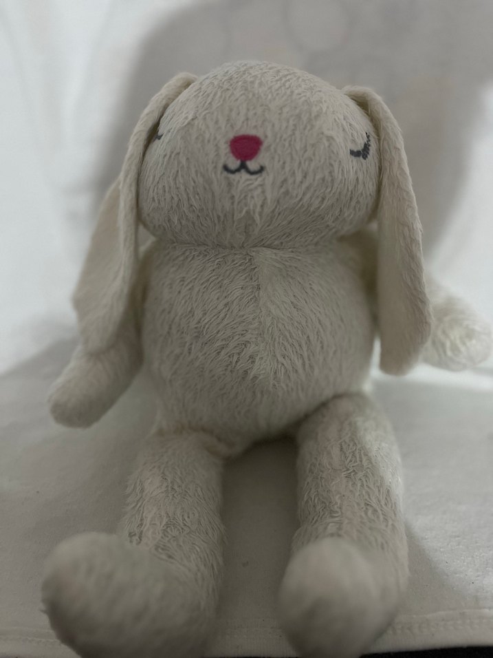 Yumuşak Beyaz Peluş Tavşan Oyuncak - Görsel 3
