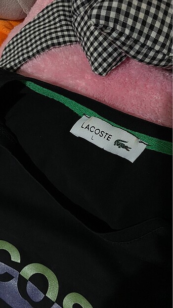 l Beden Lacoste