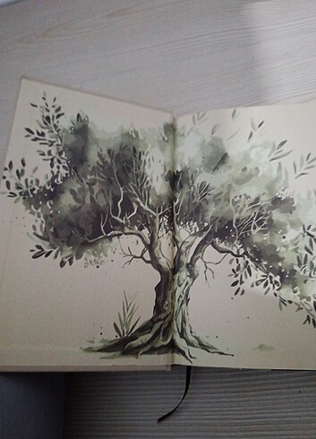  Beden Renk İs kokan zeytin ağacı 