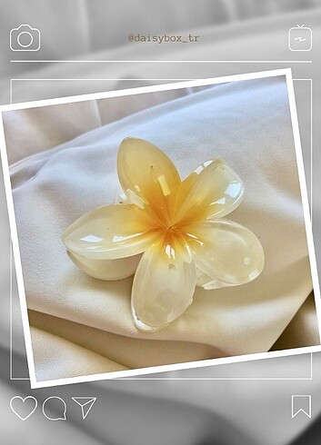 beyaz lotus çiçeği toka