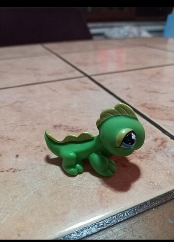  Bukelamun Miniş