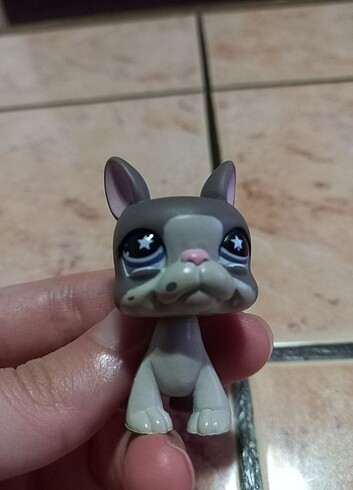  Köpek Miniş