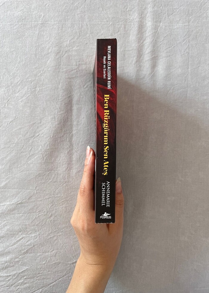 Ben Rüzgarım Sen Ateş - Görsel 2