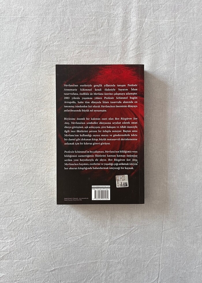 Ben Rüzgarım Sen Ateş - Görsel 3