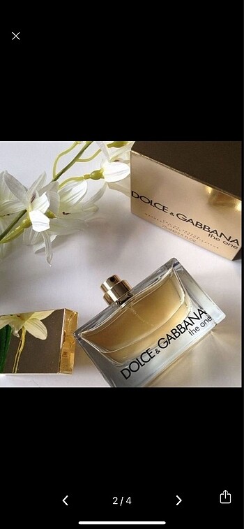 Dolce & Gabbana Dolce & Gabbana The One