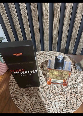 Erkek Parfümü Hermès Terre D'Hermès 100 ml - Görsel 2