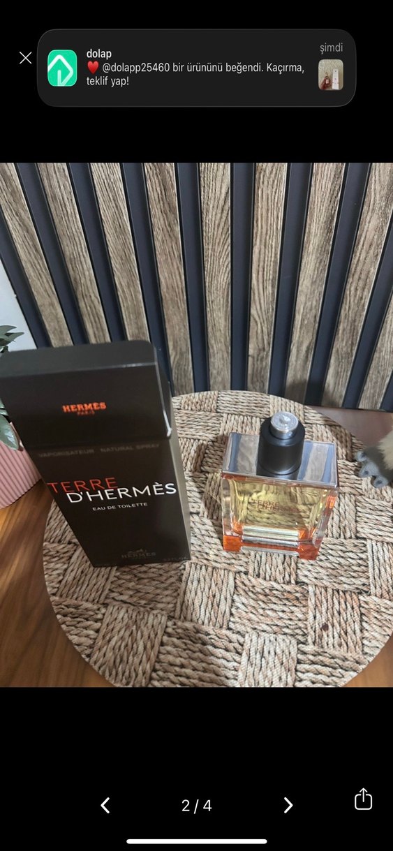 Erkek Parfümü Hermès Terre D'Hermès 100 ml - Görsel 2