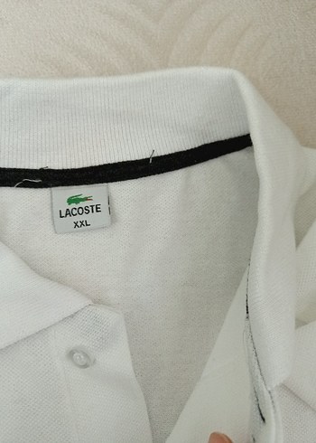 Beyaz Erkek Kısa Kollu  Polo Tişört - Görsel 4