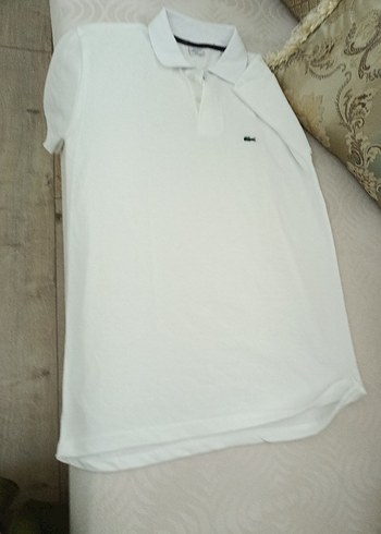 Lacoste xl