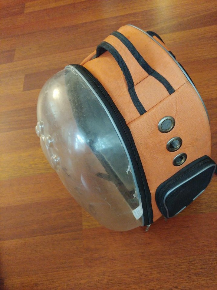 yepyeni defosuz kedi köpek çantası - Görsel 3