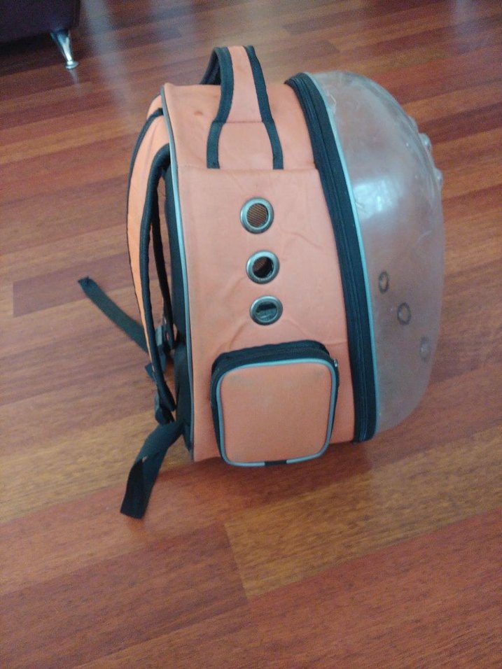 yepyeni defosuz kedi köpek çantası - Görsel 5