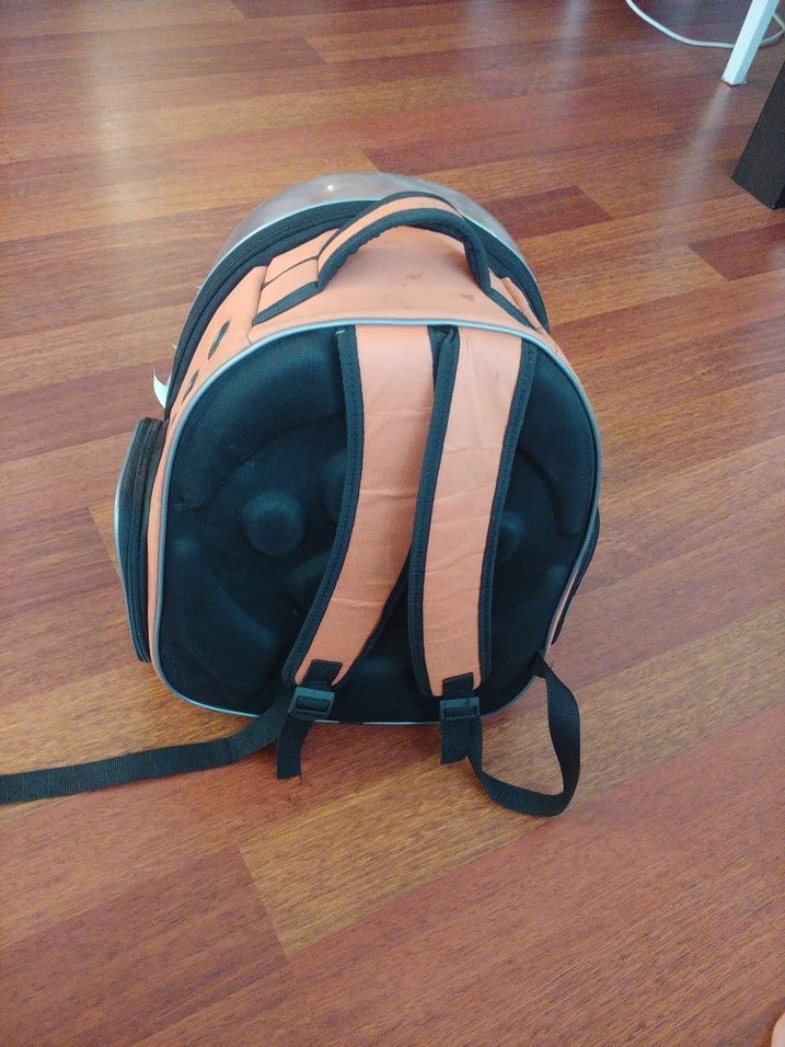 yepyeni defosuz kedi köpek çantası - Görsel 4