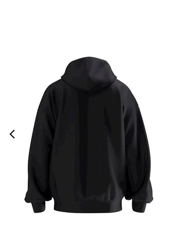 SHİNYFORCE RHİNESTONE HOODİE - Görsel 2