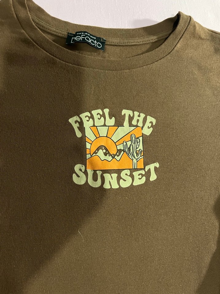 Kahverengi Baskılı Kısa crop - Görsel 2