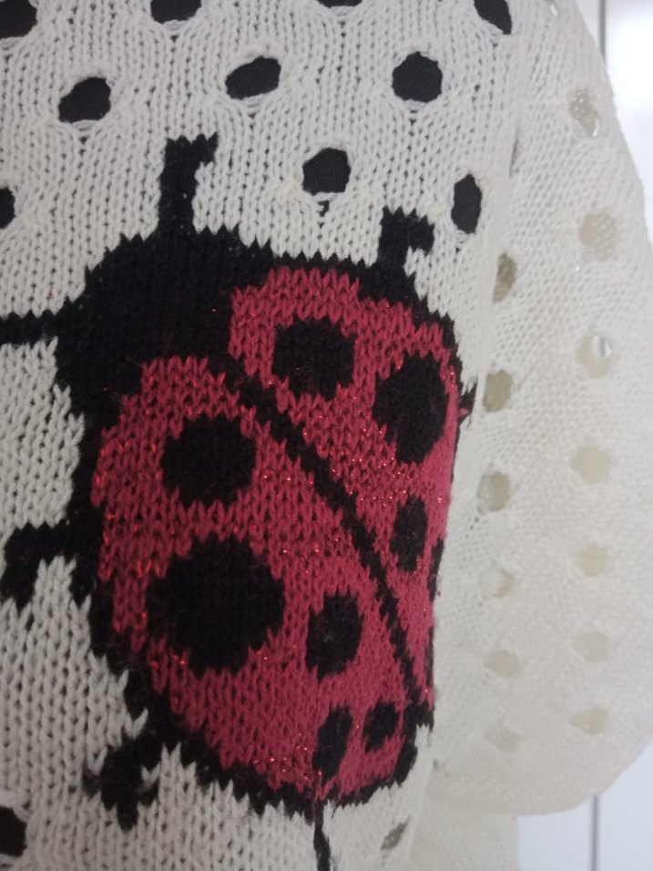 Nakışlı Kısa Kollu Beyaz Kadın Triko - Görsel 2