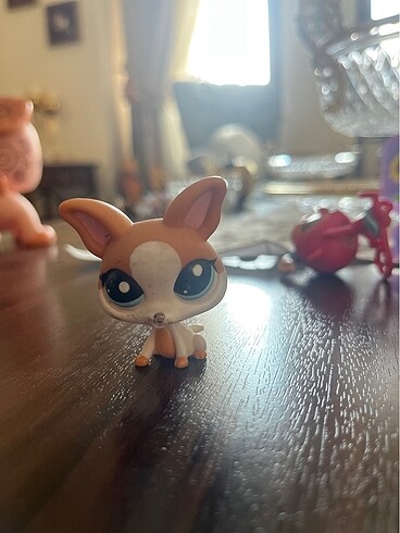 LPS chichiwawa #LPS