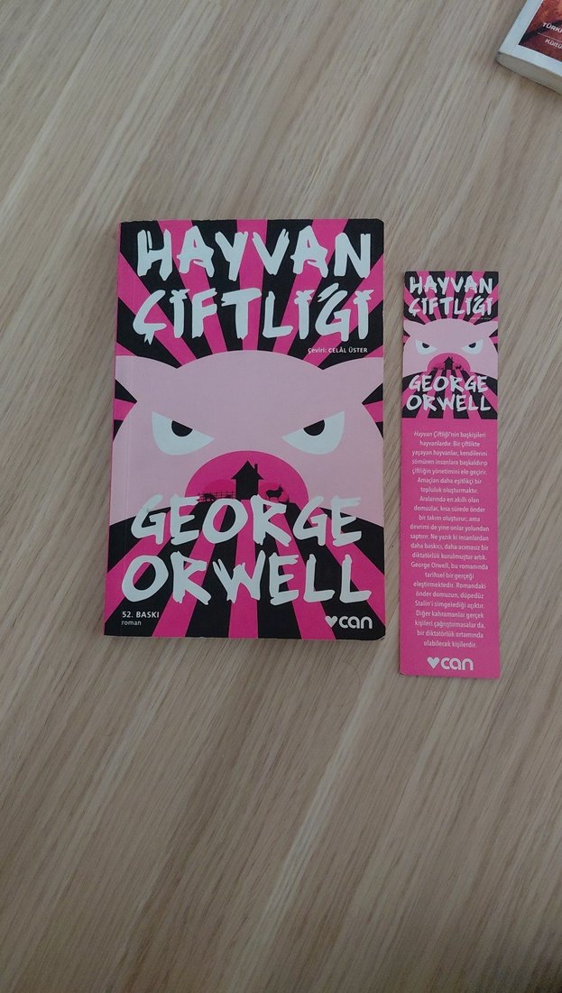 Dönüşüm, Hayvan Çiftliği, Kürk Mantolu Madonna Kitap Seti - Görsel 3