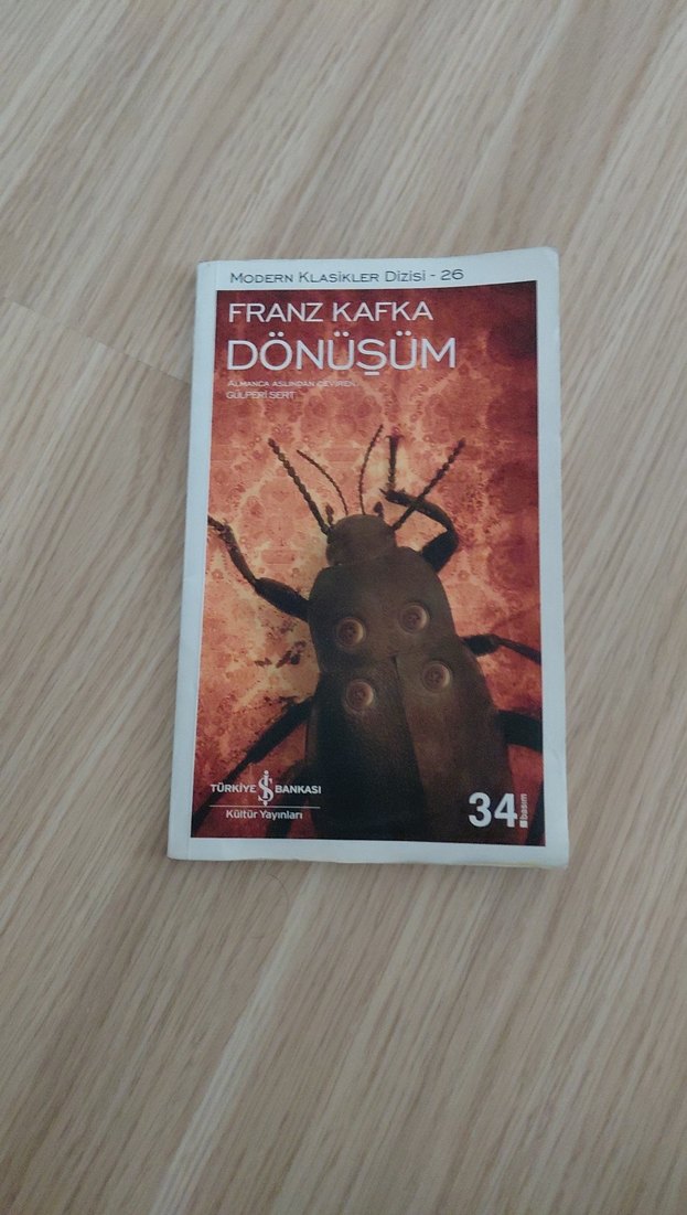 Dönüşüm, Hayvan Çiftliği, Kürk Mantolu Madonna Kitap Seti - Görsel 4
