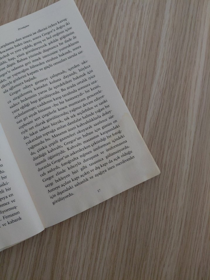 Dönüşüm, Hayvan Çiftliği, Kürk Mantolu Madonna Kitap Seti - Görsel 5