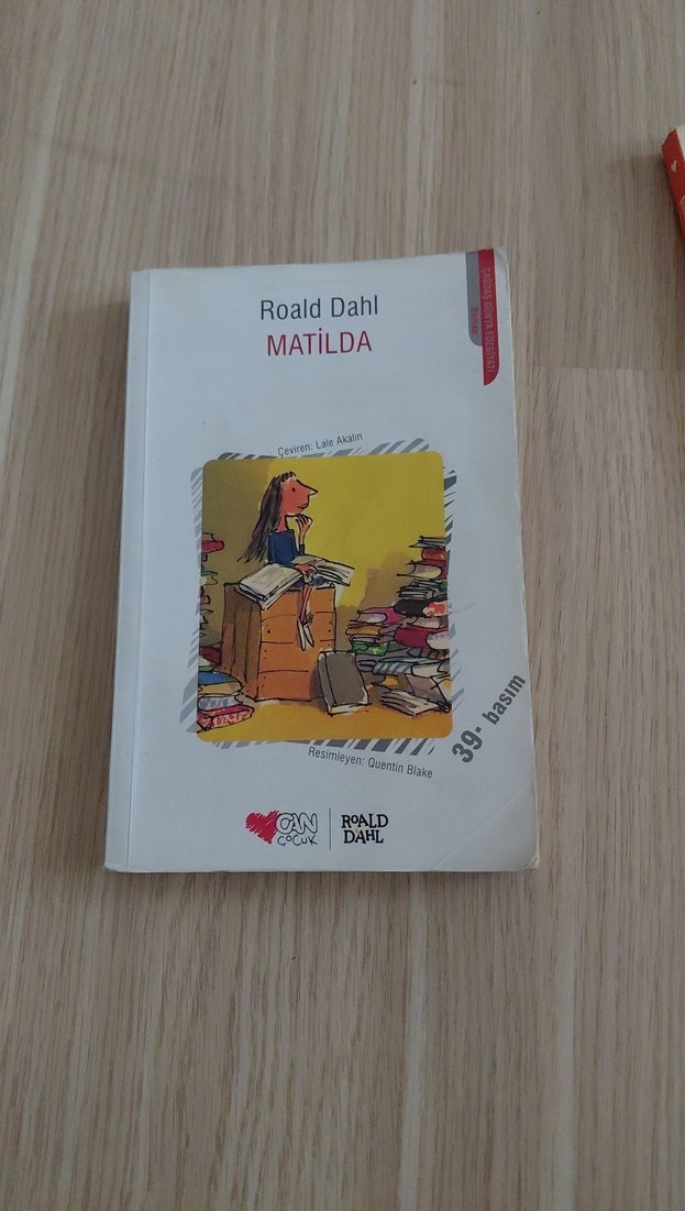 Matilda ve Şeker Portakalı Romanları - Görsel 2