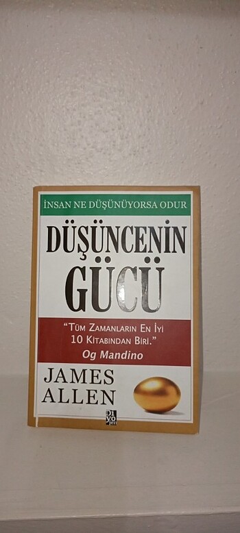 DÜŞÜNCENİN GÜCÜ